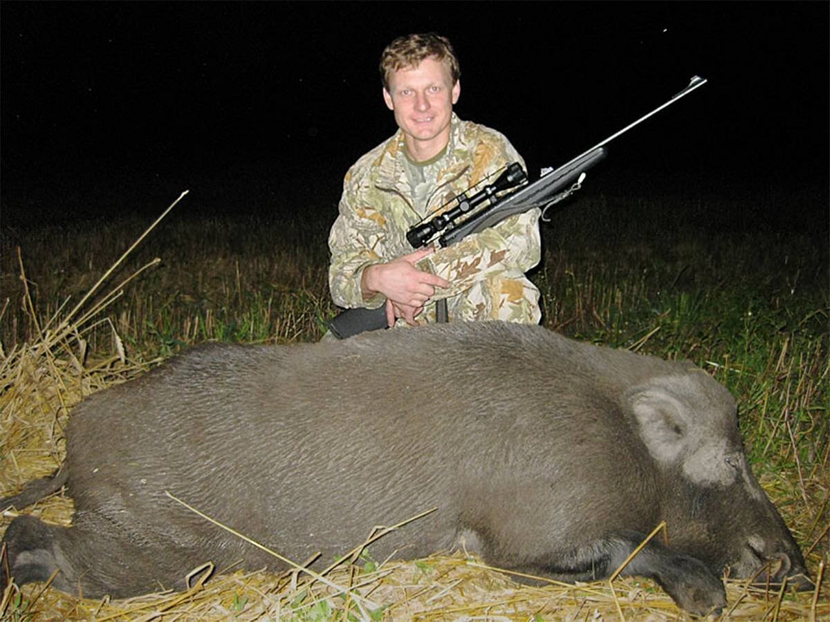 АВТОР СТАТЬИ: АЛЕКСЕЙ СЕРГЕЕВ