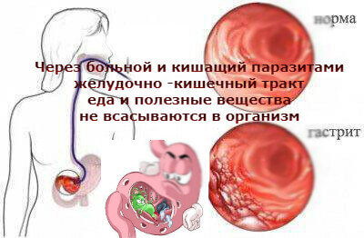 не правильно питаемся