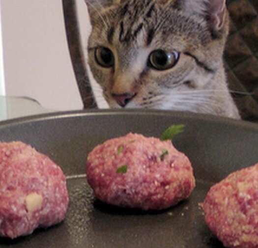 Фото котлеты из свободных источников.