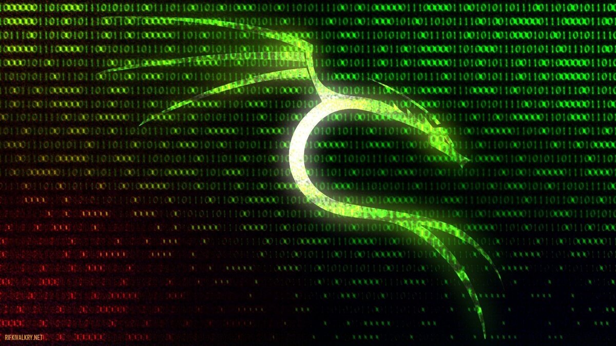 netdiscover входит в стандартный пакет Kali Linux