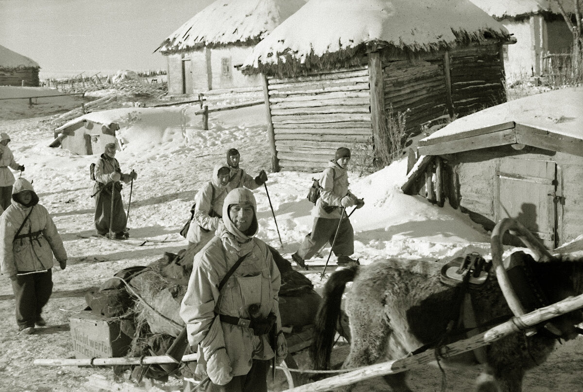 Курская область, январь 1943 год