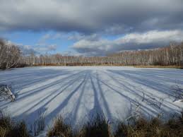 Морозное утро 