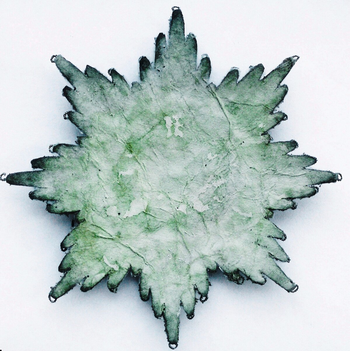 Орден Святой  Анны I. Реверс.