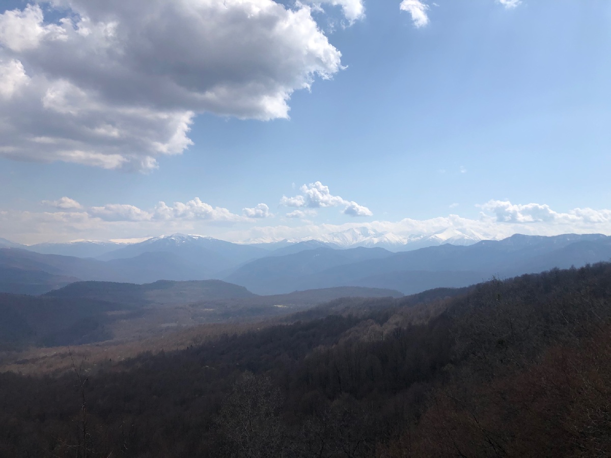 Первая смотровая 