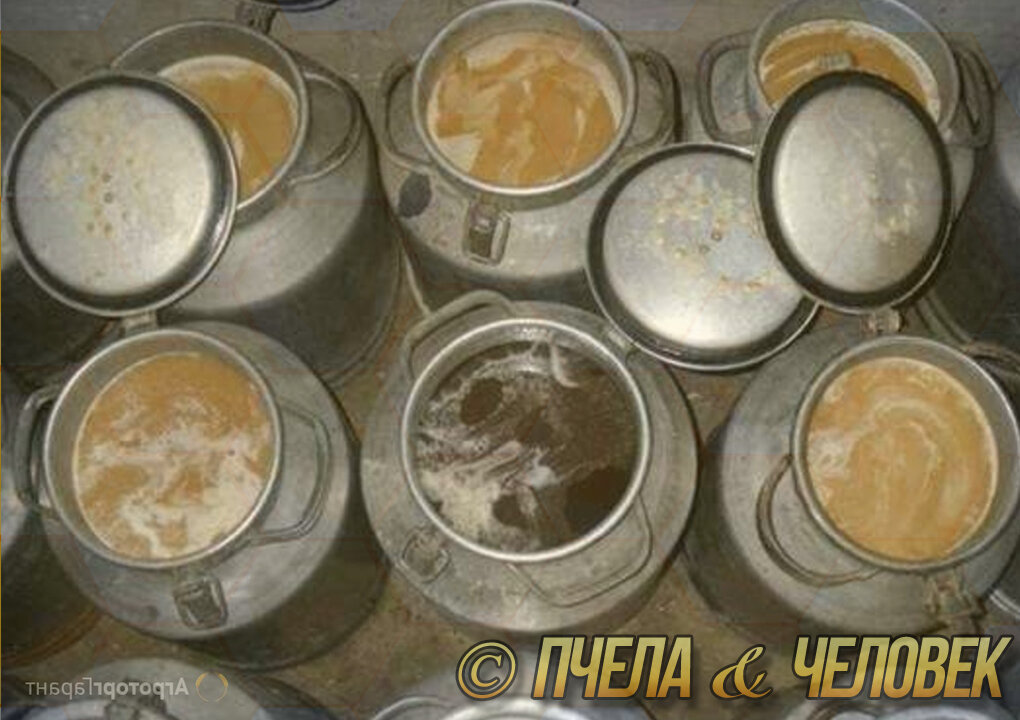 Мед всегда хранили в алюминиевых флягах. А что же сейчас? 