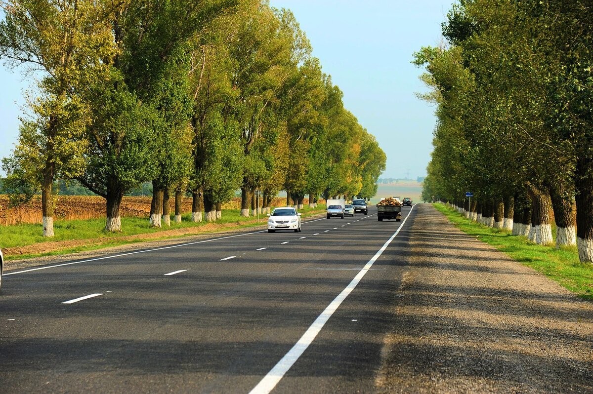 Трасса Ростов-Таганрог. 
Источник фото: http://mytaganrog.com/yanews/130917/v-rostovskoy-oblasti-zavershena-poverhnostnaya-obrabotka-chetyreh-uchastkov-trassy-280