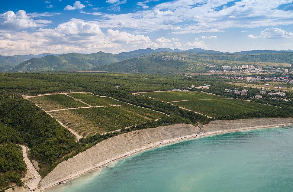 Восточный и западный склоны терруара винодельни "Усадьба Дивноморское"