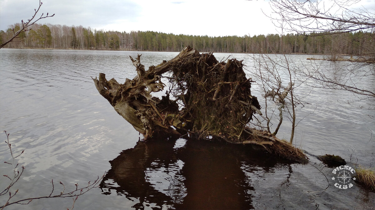 Государственный природный заказник Озеро Щучье. National Park Shhuchye Lake  | PICNIC CLUB | Дзен