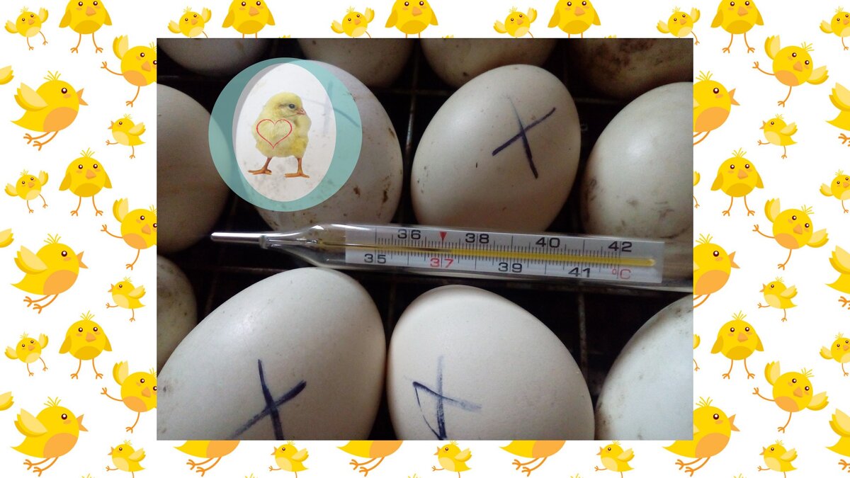 Оцените статью после прочтения!