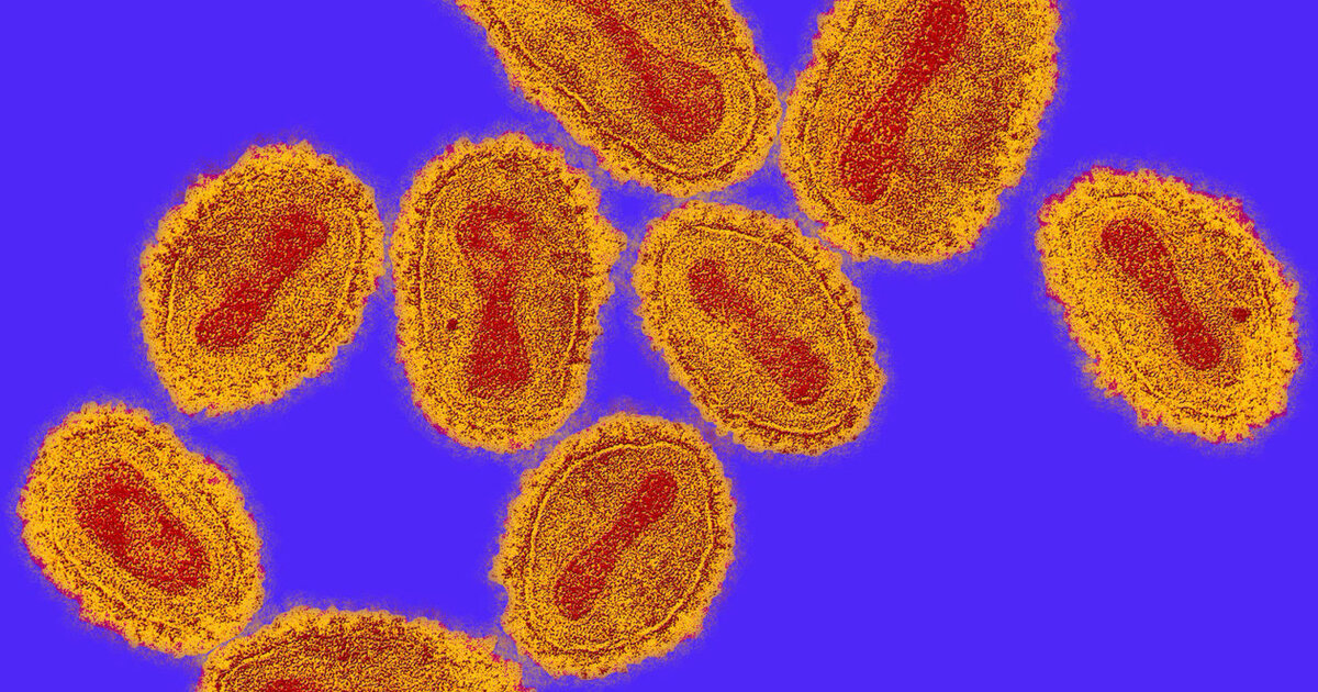 Вирус Натуральной Оспы