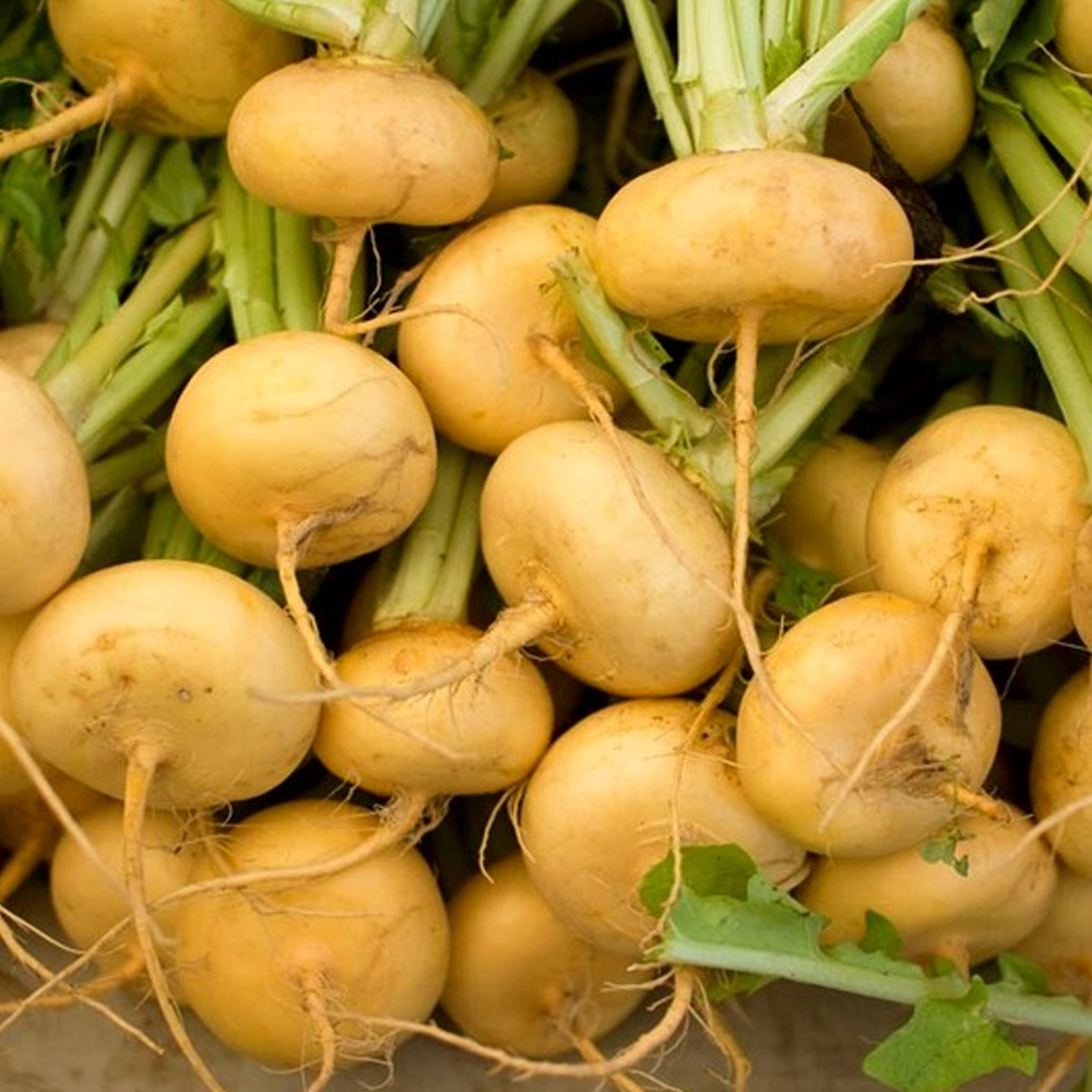 Крепкое здоровье в одном фото! 