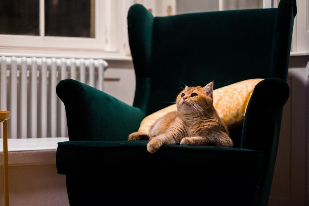 Рейтинг стран мира по стоимости квадратного метра жилья в 2021 году