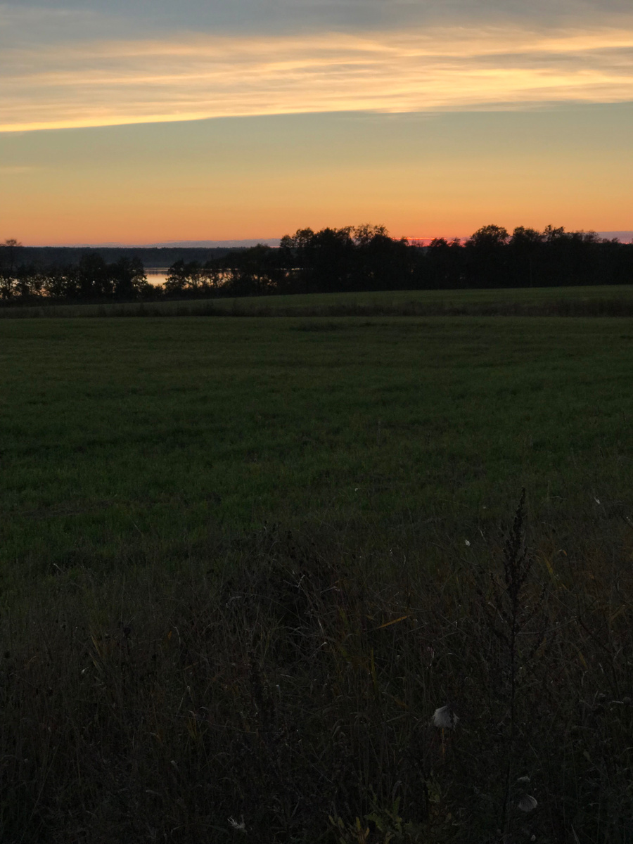 Фото автора. Просто для красоты. 