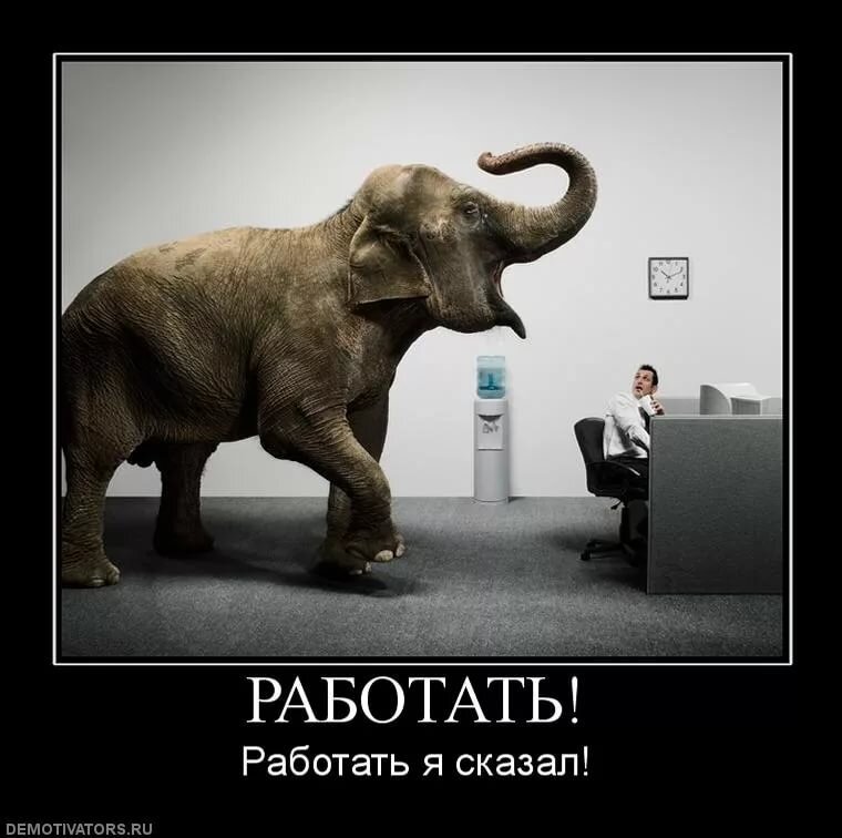 Где сейчас хорошо работать. Надо работать. Лучше работать. Юмор про работу. Картинка надо работать.