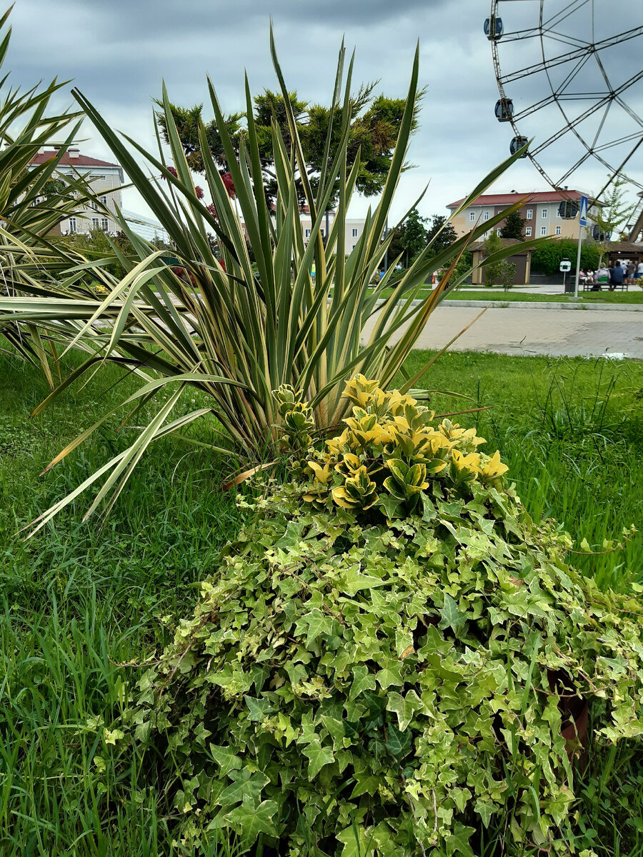 Фото автора. Просто для красоты. 