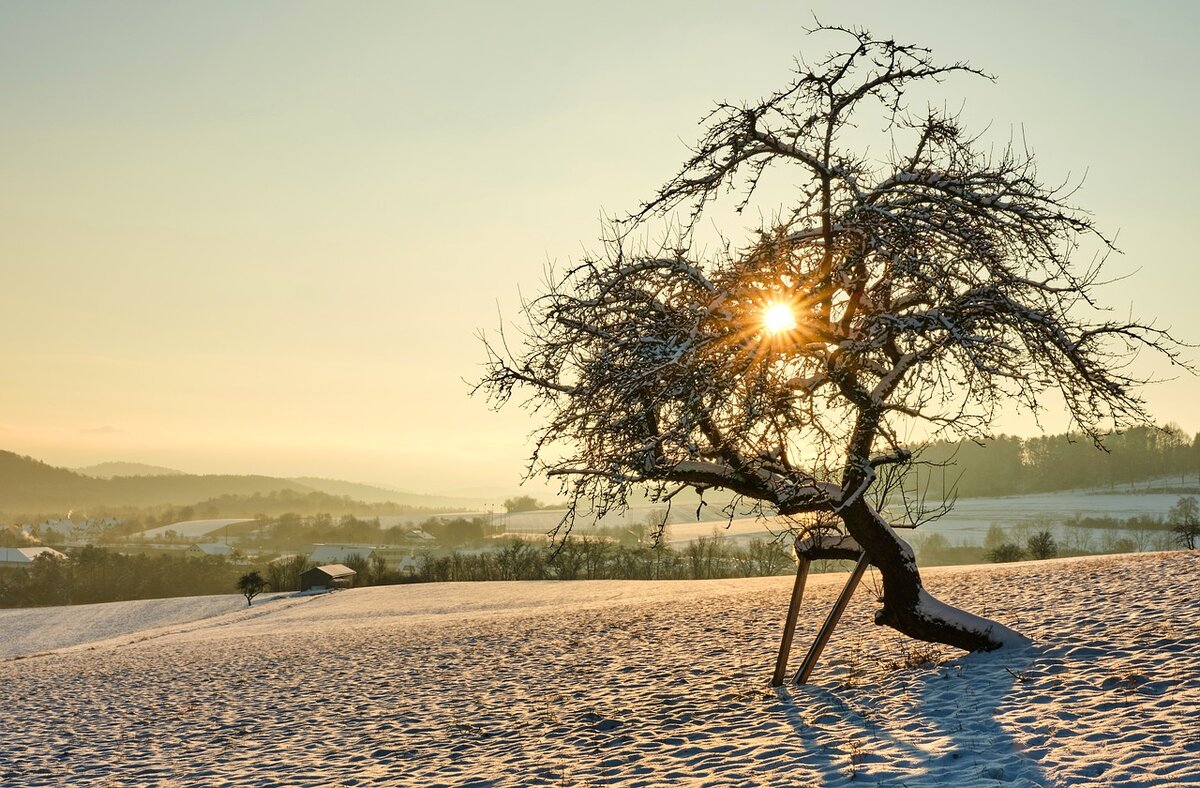 Главная причина возникновения магнитной бури – солнечные вспышки, которые происходят на небесном светиле до четырех раз в месяц. Фото: Pixabay.com 