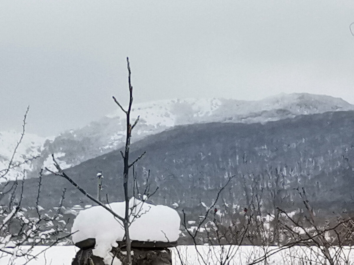Орех, гора и зима. 