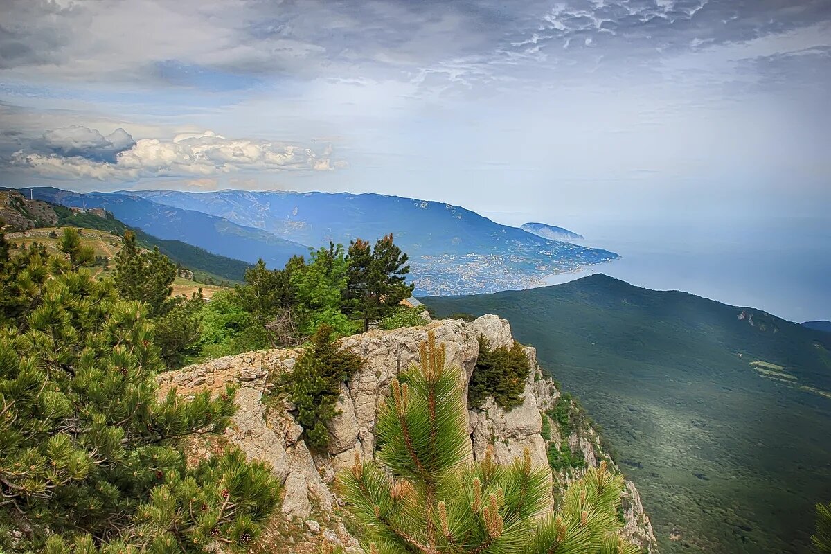 Горы крыма отзывы. Крымские горы крымские горы. Крымские заповедники ай-Петри. Сосны в горах ай Петри. Ялпах-Кая Крым.