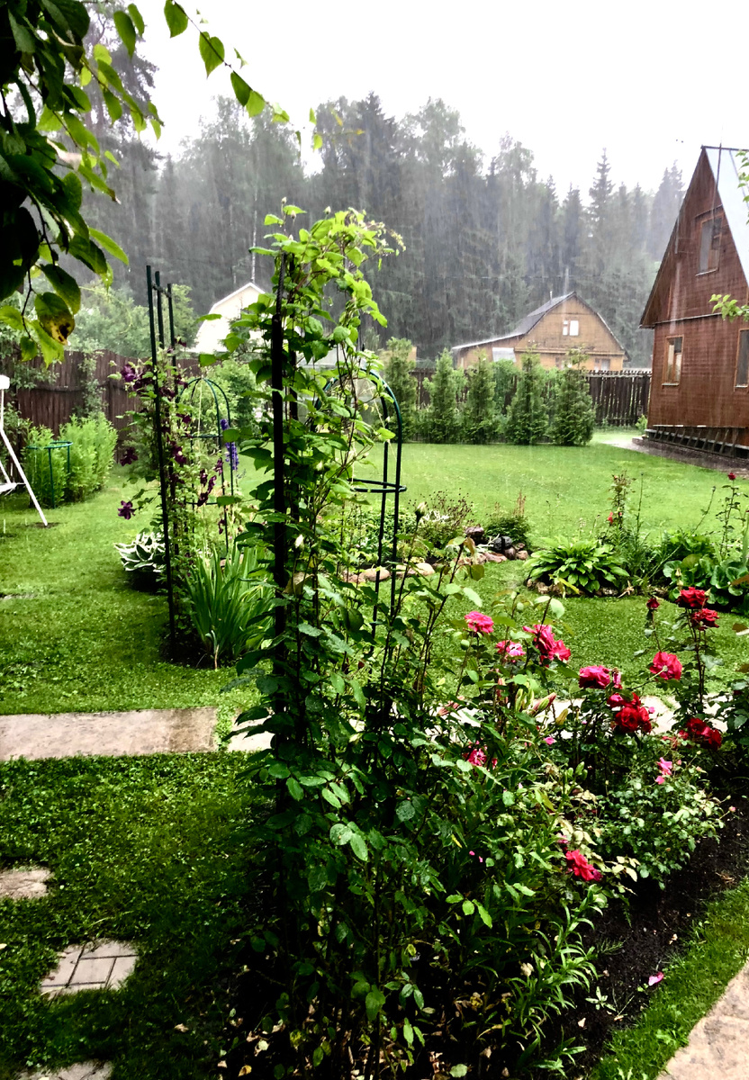 Остановись во время дождя. Пережди. Наблюдай. Будь спокойнее.