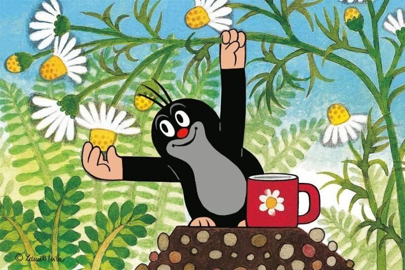 Кадр из мульифильма