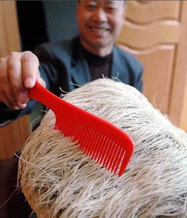 Когда наконец-то дождался своей очереди к бесплатному стилисту Источник: druzzua.mirtesen.ru