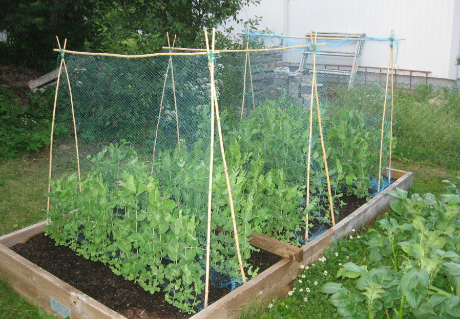 Фотография взята из источника info67.ru