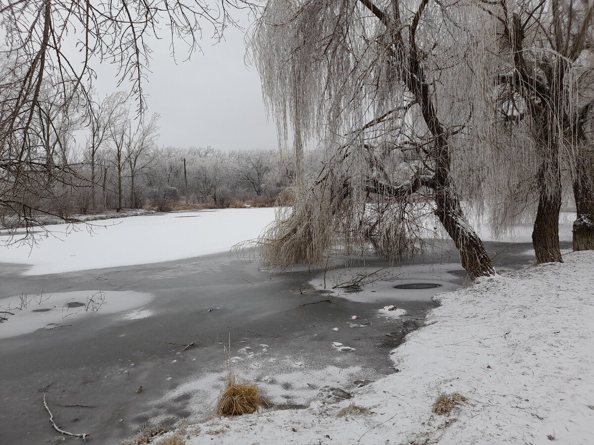Пруды поселка Капельница сегодня