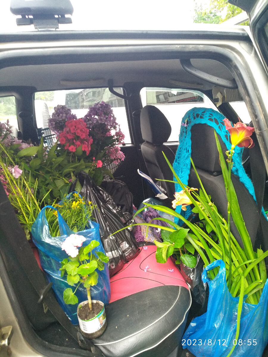 Алёнина коллекция цветов немного пополнилась)