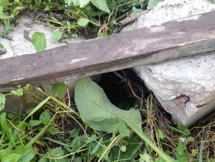    Фото мамы пострадавшего мальчика