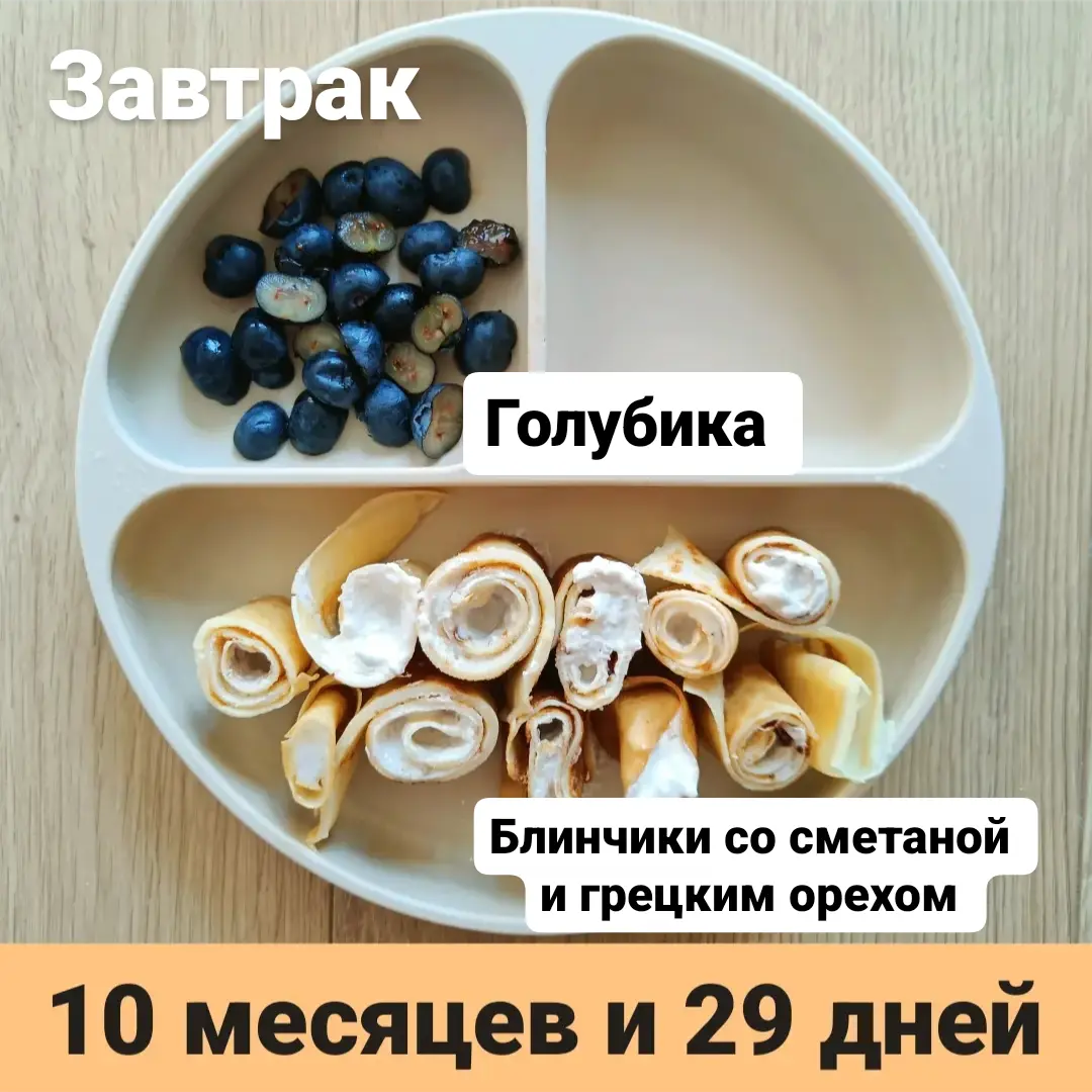 Пример тарелки в 10 месяцев 