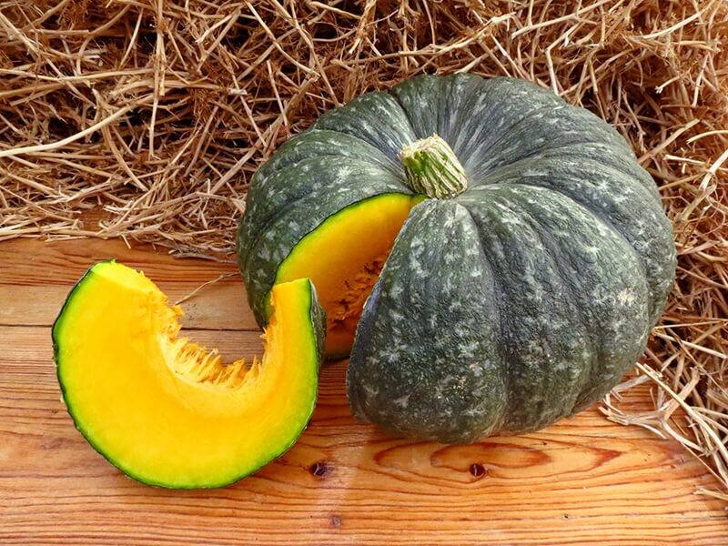 Тыква f1 сладкий каштан. Тыква баттернат семена ореховая. Тыква крупноплодная мраморная. Тыква мускатная витаминная. Тыква мармеладка сорт.