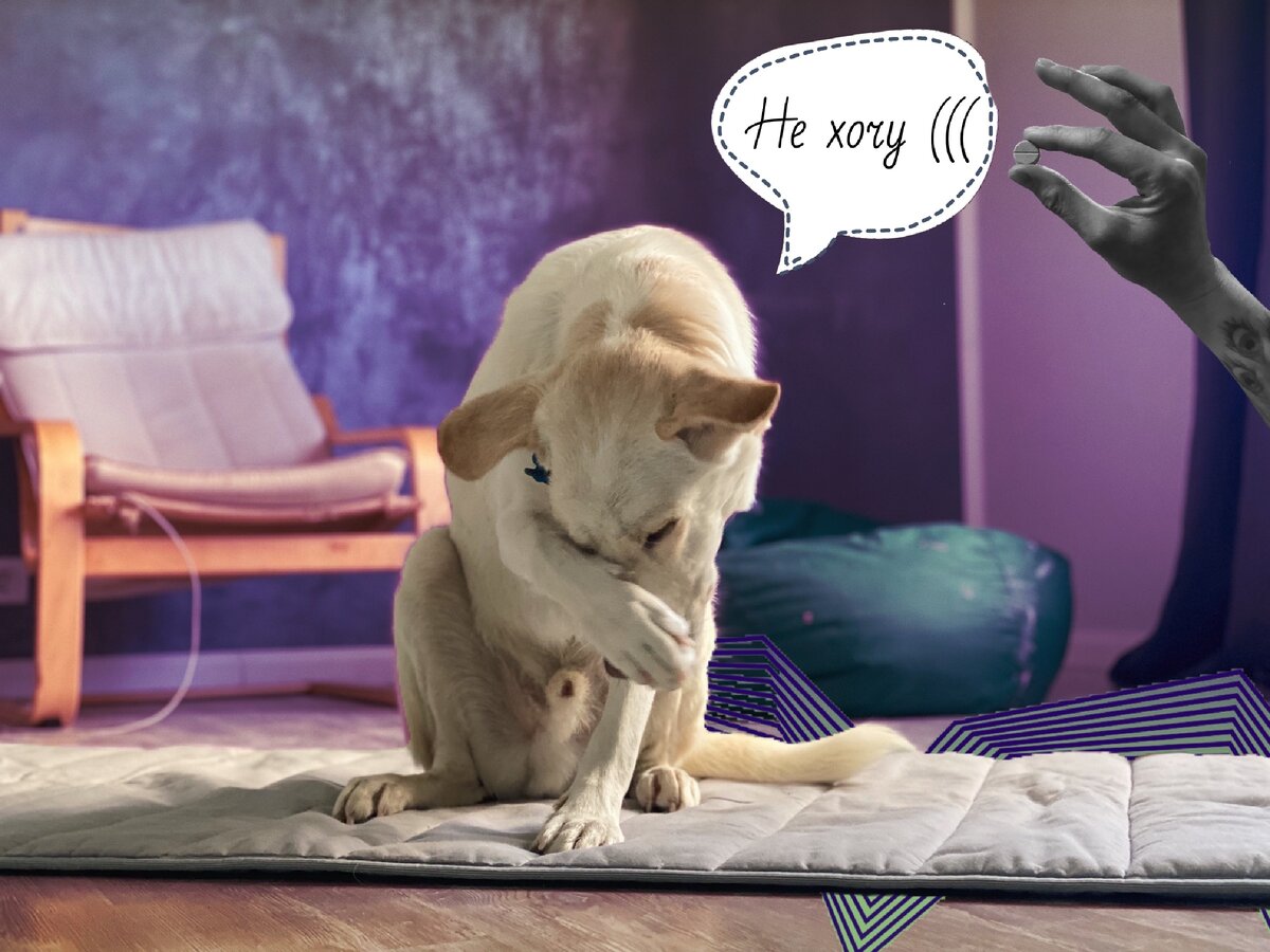 Лео позирует как настоящий стесняшка