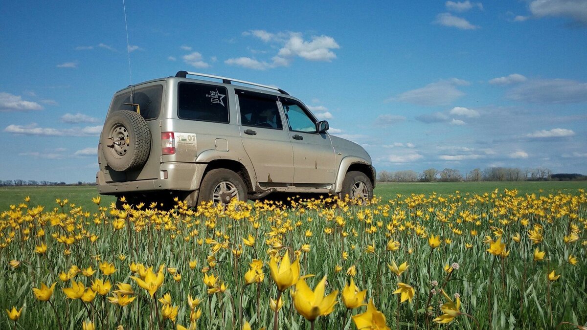 По моему мнению самое весеннее фото