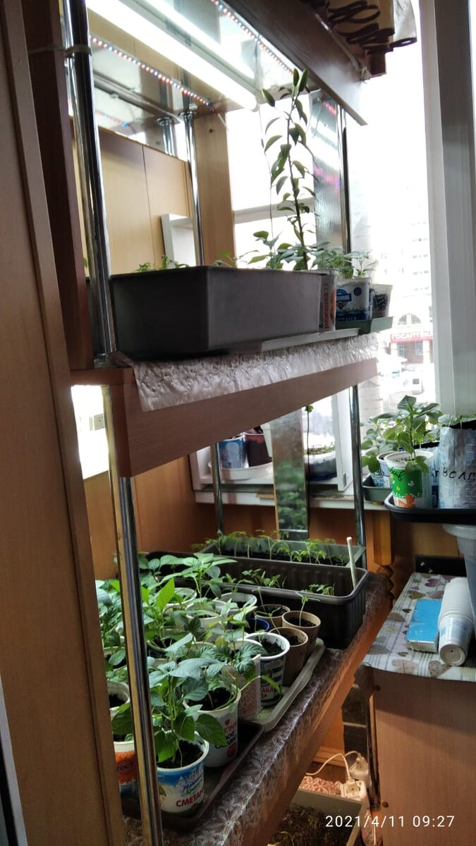 Стеллаж на балконе