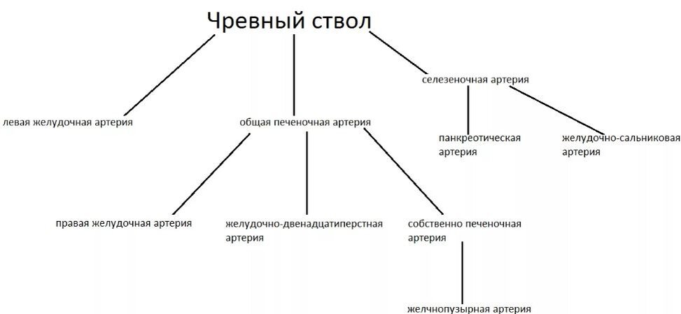 Боль под солнечным сплетением: причины возникновения - «биржевые-записки.рф»