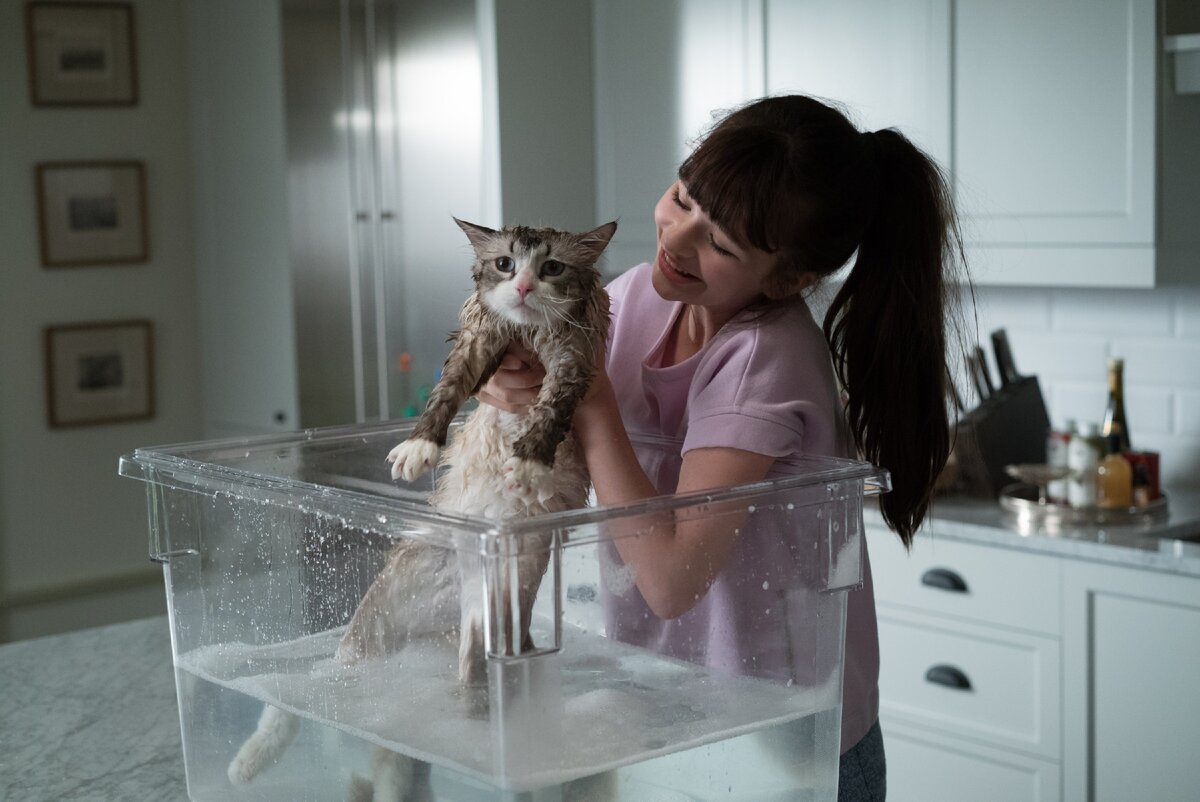 Кота Мистерa Пушистые Штаны фактически играют шесть котоартистов, каждый обучен для выполнения набора различных заданий. “Там есть кот, который может взять ручку и писать, и есть кот, который очень, очень хорош в математике,” шутит Кевин Спейси, исполнитель главной роли, миллиардера Тома Бренда.