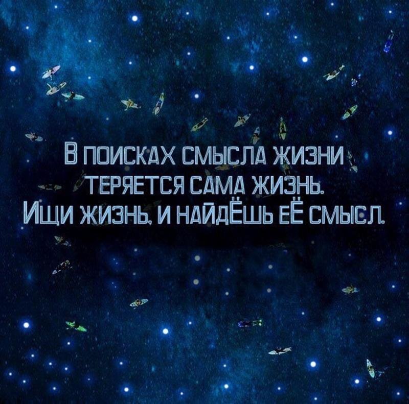 Где живем поиск. День поиска смысла жизни. О смысле жизни. Не ищи смысла в жизни. Смысл жизни в поиске смысла жизни.