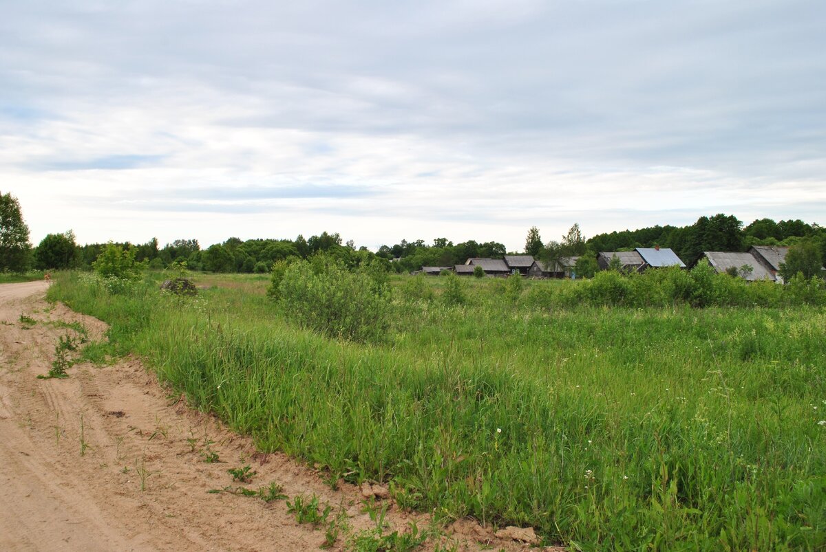 Вот моя деревня...