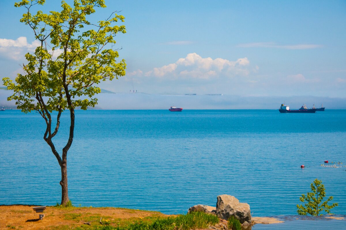 Фото: пресс-служба ДВФУ. Вид с кампуса ДВФУ на бухту Аякс, залив Петра Великого.