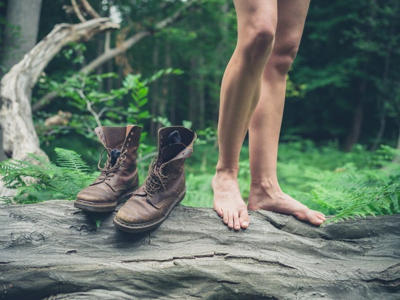 Яндекс картинки 