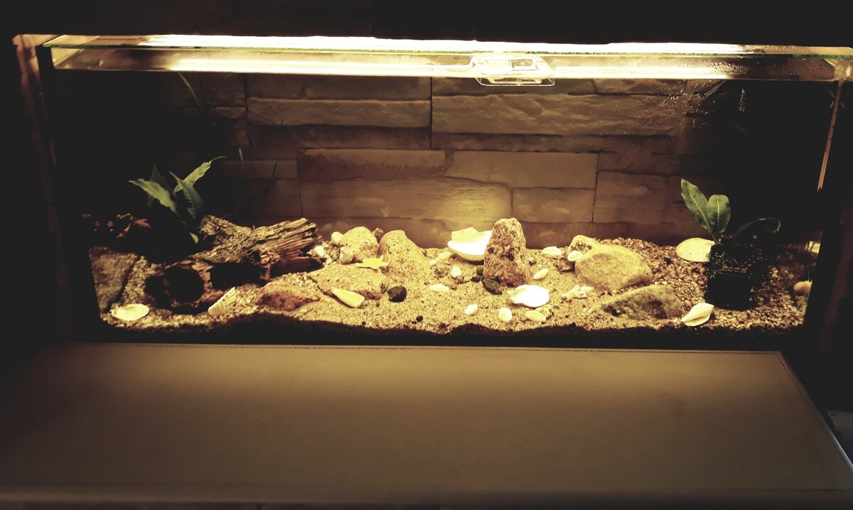 Фото из личного архива.