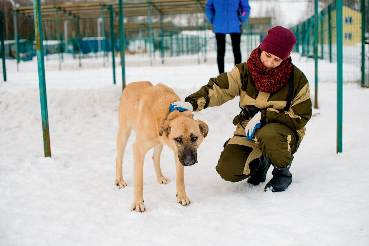 Хьюго не сразу производит впечатление такого доброго теленочка