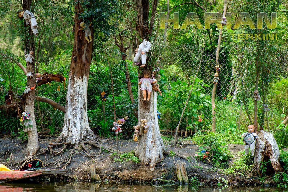 Лес самоубийц.