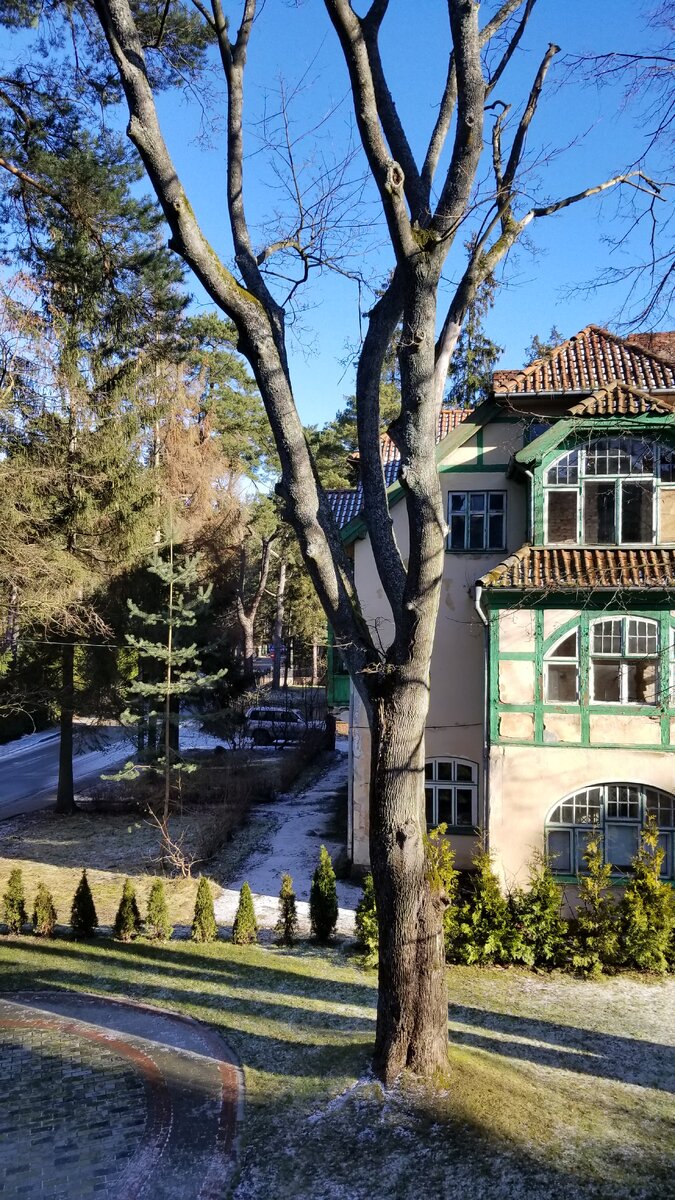 Вид на улицу Гагарина в Светлогорске.