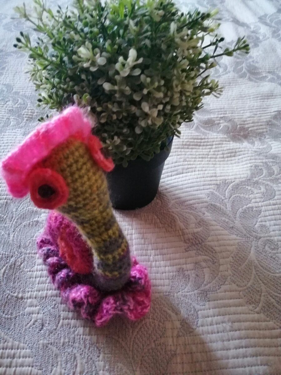 Черепаха. Фото автора. 