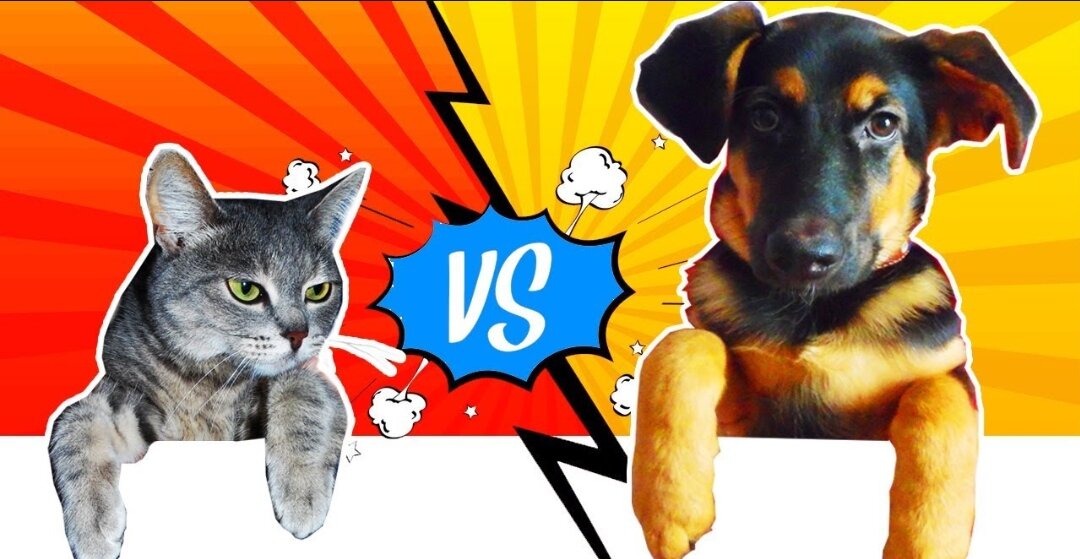 Данное фото использовано из сети интернет