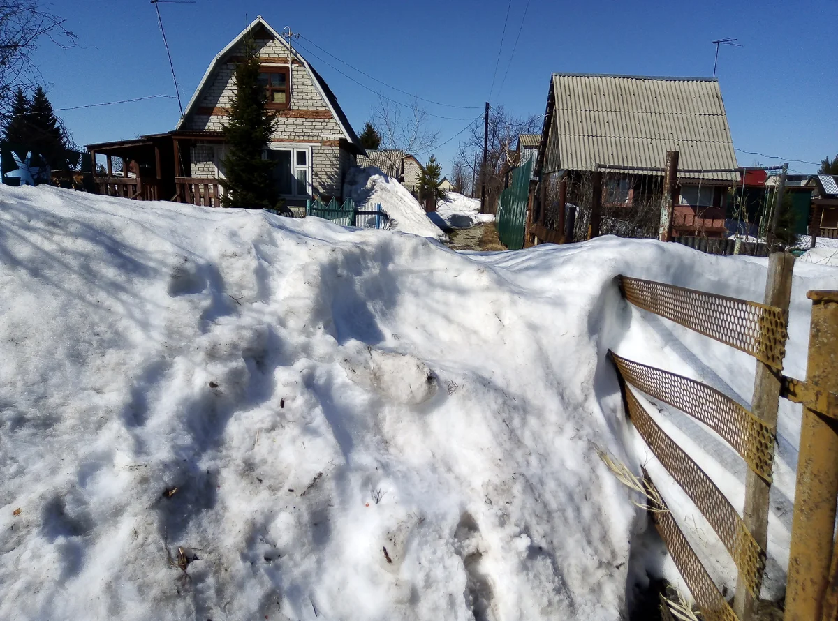 Путь на дачу закрыт. Только лыжи, да собачьи упряжки. Ну, или написать полезную статью в Дзене.