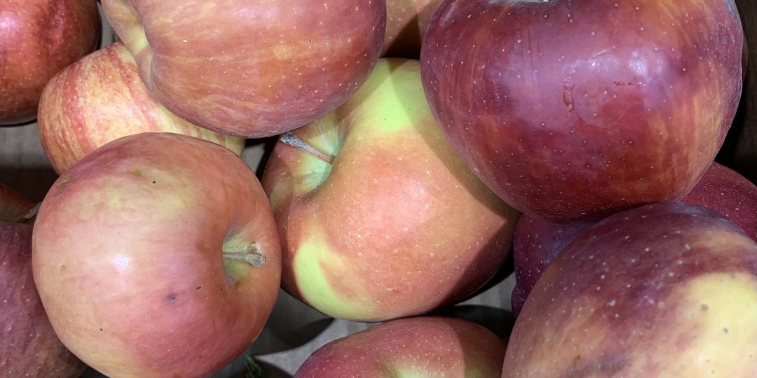 Яблони-колонны, то что стоит посадить в саду любителям яблок