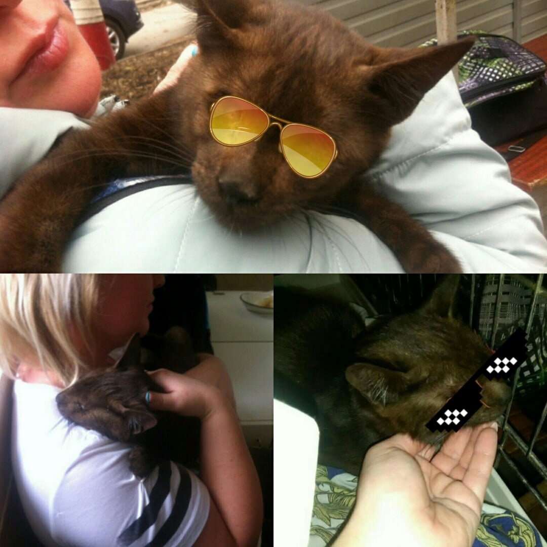 В клинике почистили глазки и наложили швы