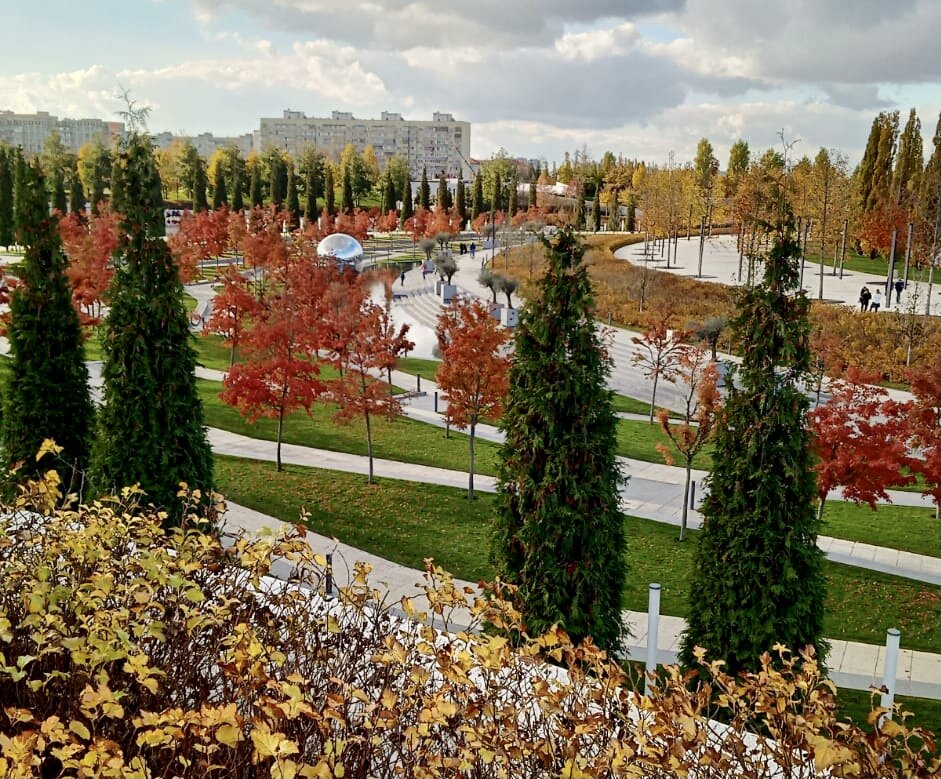 Конец ноября в Парке Галицкого! Вот такая тут чудесная осень. Фото мамы автора